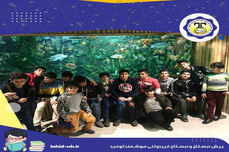 پیش دبستان و دبستان غیردولتی هوشمند توحید